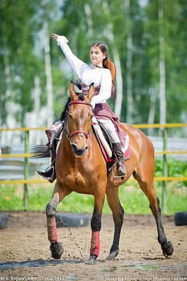 Обучение верховой езде в Казани. Сервис Ultra Подарки. Купить обучение верховой езде в Казани. Вы сможете попробовать курс по верховой езде и конные прогулки. Сервис UltraPodarki.ru 8 800 505 95 30. Обучение верховой езде, верховая езда в Казани, верховая езда Казань, конный спорт, уроки верховой езды, школа верховой езды, конные прогулки, верховая езда, школа верховой езды в Казани, конные прогулки в Казани, обучение верховой езде в Казани, конный спорт в Казани, уроки верховой езды в Казани