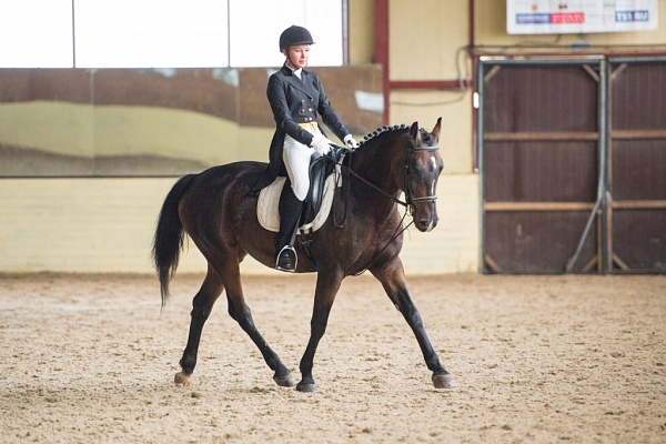 Обучение верховой езде в Казани. Сервис Ultra Подарки. Купить обучение верховой езде в Казани. Вы сможете попробовать курс по верховой езде и конные прогулки. Сервис UltraPodarki.ru 8 800 505 95 30. Обучение верховой езде, верховая езда в Казани, верховая езда Казань, конный спорт, уроки верховой езды, школа верховой езды, конные прогулки, верховая езда, школа верховой езды в Казани, конные прогулки в Казани, обучение верховой езде в Казани, конный спорт в Казани, уроки верховой езды в Казани