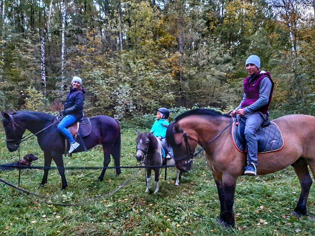 семейная прогулка на лошадях в лесу