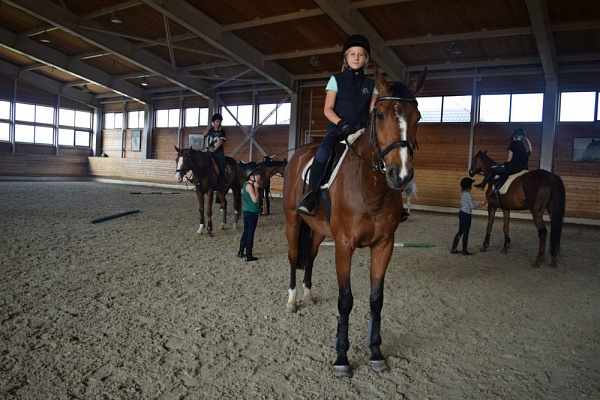 Обучение верховой езде в Казани. Сервис Ultra Подарки. Купить обучение верховой езде в Казани. Вы сможете попробовать курс по верховой езде и конные прогулки. Сервис UltraPodarki.ru 8 800 505 95 30. Обучение верховой езде, верховая езда в Казани, верховая езда Казань, конный спорт, уроки верховой езды, школа верховой езды, конные прогулки, верховая езда, школа верховой езды в Казани, конные прогулки в Казани, обучение верховой езде в Казани, конный спорт в Казани, уроки верховой езды в Казани