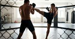 Смешанные единоборства