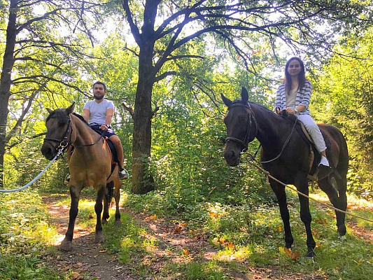 Конная прогулка в Казани. Подарочные сертификаты Ultra Подарки. Купить оригинальный подарок или подарочный сертификат на Конную прогулку в Казани. Сервис UltraPodarki.ru 8-800-505-9530. Катание на лошадях, Прогулка на лошади, Прогулка на лошадях для двоих, КАЗАЧКА, конный клуб, Конный клуб, конная прогулка, конная прогулка в Казани