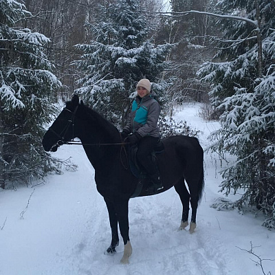 Конная прогулка в Казани. Подарочные сертификаты Ultra Подарки. Купить оригинальный подарок или подарочный сертификат на Конную прогулку в Казани. Сервис UltraPodarki.ru 8-800-505-9530. Катание на лошадях, Прогулка на лошади, Прогулка на лошадях для двоих, КАЗАЧКА, конный клуб, Конный клуб, конная прогулка, конная прогулка в Казани