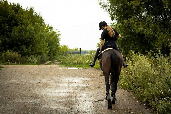 Конная прогулка в Казани. Подарочные сертификаты Ultra Подарки. Купить оригинальный подарок или подарочный сертификат на Конную прогулку в Казани. Сервис UltraPodarki.ru 8-800-505-9530. Катание на лошадях, Прогулка на лошади, Прогулка на лошадях для двоих, КАЗАЧКА, конный клуб, Конный клуб, конная прогулка, конная прогулка в Казани