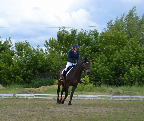 Конная прогулка в Казани. Подарочные сертификаты Ultra Подарки. Купить оригинальный подарок или подарочный сертификат на Конную прогулку в Казани. Сервис UltraPodarki.ru 8-800-505-9530. Катание на лошадях, Прогулка на лошади, Прогулка на лошадях для двоих, КАЗАЧКА, конный клуб, Конный клуб, конная прогулка, конная прогулка в Казани