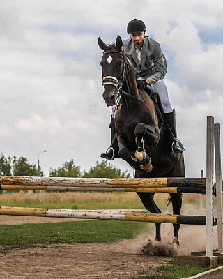 Конная прогулка в Казани. Подарочные сертификаты Ultra Подарки. Купить оригинальный подарок или подарочный сертификат на Конную прогулку в Казани. Сервис UltraPodarki.ru 8-800-505-9530. Катание на лошадях, Прогулка на лошади, Прогулка на лошадях для двоих, КАЗАЧКА, конный клуб, Конный клуб, конная прогулка, конная прогулка в Казани