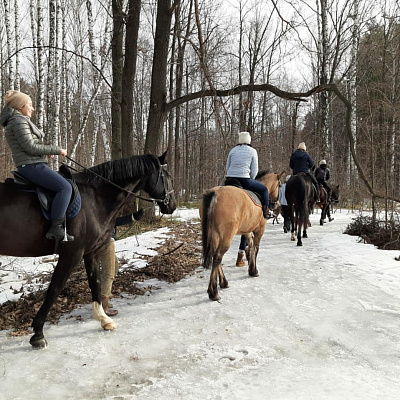Конная прогулка в Казани. Подарочные сертификаты Ultra Подарки. Купить оригинальный подарок или подарочный сертификат на Конную прогулку в Казани. Сервис UltraPodarki.ru 8-800-505-9530. Катание на лошадях, Прогулка на лошади, Прогулка на лошадях для двоих, КАЗАЧКА, конный клуб, Конный клуб, конная прогулка, конная прогулка в Казани
