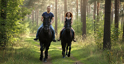 Конная прогулка